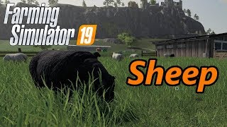 Farming Simulator 19 Tutorial  Sheep [upl. by Amund]