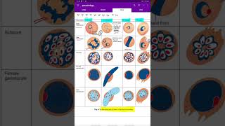 plasmodium  parasitology  microbiology [upl. by Dragoon]