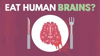 What Happens If You Eat Human Brains [upl. by Dnomsaj]