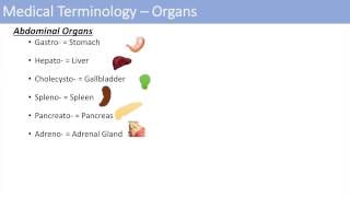 Medical Terminology  The Basics  Lesson 1 [upl. by Lledniw498]