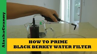 How to Prime a Berkey Water Filter Element [upl. by Anavrin]