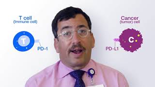 Explaining Immunotherapy PDL1 and PD1 [upl. by Ladnek]