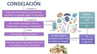 Método de conservación de alimentos congelación [upl. by Vyse]