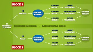 Types of Experimental Designs 33 [upl. by Notle215]