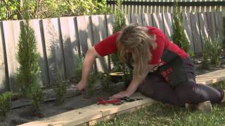 How To Install Irrigation Sprayers And Drippers  DIY At Bunnings [upl. by Borroff713]