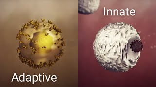 How your immune system works [upl. by Heintz497]