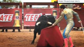 Bullfighting in South Texas [upl. by Anailil176]