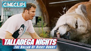 Getting Attacked By A Cougar  Talladega Nights  CineStream [upl. by Pelpel]