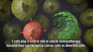 Immunotherapy using checkpoint inhibitors subtitles [upl. by Minica414]