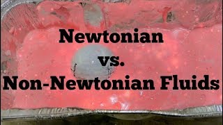 Newtonian vs NonNewtonian Fluids [upl. by Guss568]