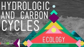 The Hydrologic and Carbon Cycles Always Recycle  Crash Course Ecology 8 [upl. by Zachery710]