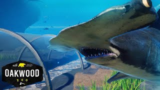 Working SHARK TUNNEL In Planet Zoo 🦈  Planet Zoo Mod Zoo Speedbuild [upl. by Llebanna]