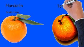 ChefSteps Tips amp Tricks Perfect Citrus Gems [upl. by Danete]