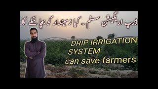 Benefits of Using a Drip Irrigation System [upl. by Kassel342]