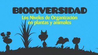 Biología Biodiversidad [upl. by Inol335]