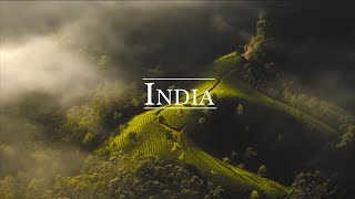 Welcome to India  CINEMATIC TRAVEL FILM [upl. by Burkle]