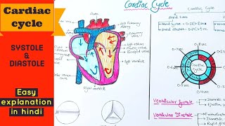 Cardiac cycle  Systole and Diastole  Easy explanation in hindi [upl. by Ibok]