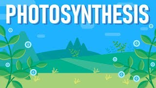 What is Photosynthesis [upl. by Alimrahs108]