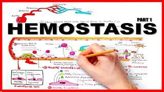 HEMOSTASISBLOOD CLOTTING MECHANISM part 1Natural Anticoagulants [upl. by Einej]