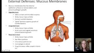 Lecture 19 Immune System [upl. by Snevets]