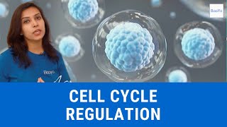 Cell Cycle Regulation  Basics Explained  Hindi [upl. by Luba]