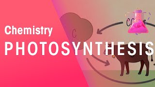 Photosynthesis amp Respiration  Reactions  Chemistry  FuseSchool [upl. by Eloci]