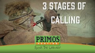 Randy Andersons 3 Stages of Calling in Coyotes [upl. by Nats]