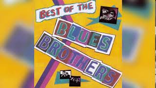 Blues Brothers  Best Of 1981 Full Album [upl. by Azaria]