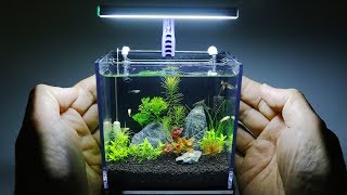 The Worlds Smallest Plant Aquarium 1 [upl. by Dlorah91]