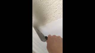 Removing popcorn ceiling stucco with a steam cleaner [upl. by Submuloc]