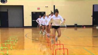 Discover Plyometric Drills Designed for Volleyball  Volleyball 2015 43 [upl. by Meeharbi971]