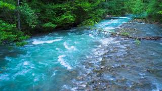 Calming Sound of Turquoise Mountain River Nature Sounds Flowing Water White Noise for Sleeping [upl. by Armond328]