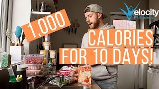 1000 CALORIES A DAY FOR 10 DAYS  Serious weight loss [upl. by Alaunnoif239]