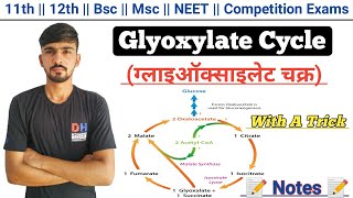 Glyoxylate Cycle With A Trick In Hindi  Biochemistry  Glyoxylate Cycle  By Dadhich Sir [upl. by Ettenhoj]