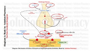 Organophosphorus Poisoning [upl. by Berwick]