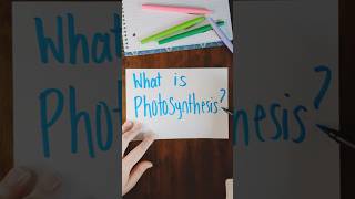 What are the two phases of photosynthesis photosynthesis APBiology STEM lightreactions [upl. by Eraste]