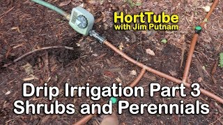 How to Install Drip Irrigation  Part 3 Shrubs and Perennials [upl. by Gaelan]