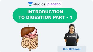 Introduction  Digestion Part 1  Human Physiology PremedicalNEETAIIMS  NEET 2020 [upl. by Germaine]