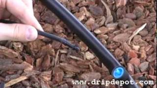 Drip Irrigation Systems How to install Pressure Compensating Button Drippers [upl. by Maya]