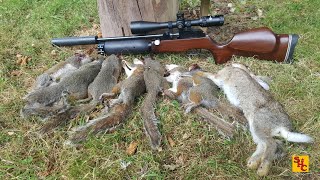 Pest Control with Air Rifles  Squirrel Shooting  A Cottage in the Country [upl. by Prissie]