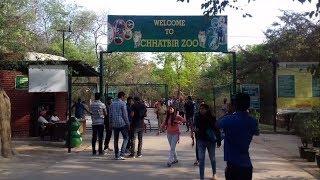 Chhatbir Zoo Zoological Park Zirakpur India [upl. by Lonna651]