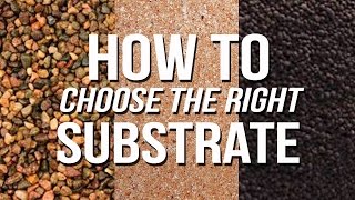 HOW TO Choose an Aquarium Substrate [upl. by Fiel]