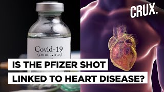 Is Side Effect of Pfizer COVID19 Vaccine Behind Rising Cases of Myocarditis in Israel [upl. by Ientruoc]