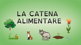 LA CATENA ALIMENTARE [upl. by Erehs]