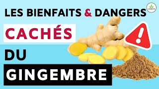 GINGEMBRE SES DANGERS ET BIENFAITS POUR LA SANTE ALIMENT MIRACLE 😱 [upl. by Burr381]