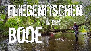 Fliegenfischen in der Bode [upl. by Pedersen]