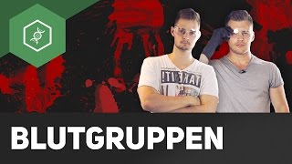 Blutgruppen bestimmen – Live Experiment [upl. by Leighton36]