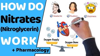 How Do Nitrates Work Nitroglycerin [upl. by Pliske]