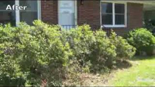 How to Prune Azaleas [upl. by Htiduj]