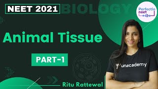 Animal Tissue  Part 1  NEET 2021  NEET Biology  Ritu Rattewal [upl. by Kwon]